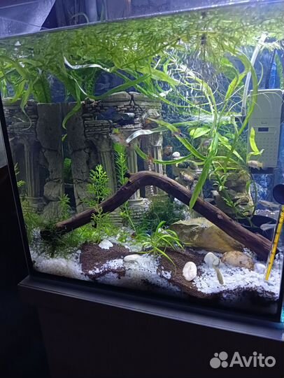Аквариум - кубик