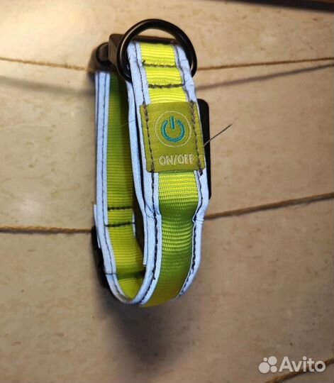 Амуниция для собак