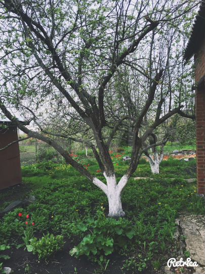 Дача 42 м² на участке 20 сот.