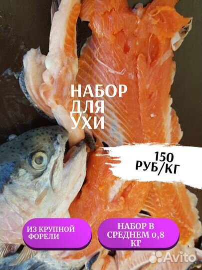 Набор для ухи