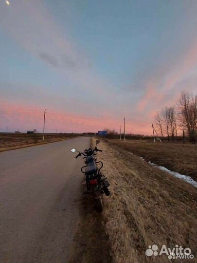 Alpha shuriken evolution 110