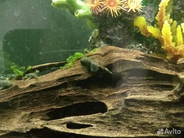Украшение для аквариума