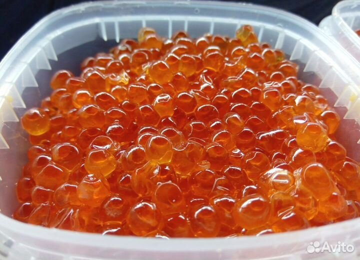 Икра кижуча доставка свежая