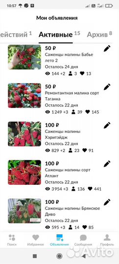 Саженцы малины, Полька