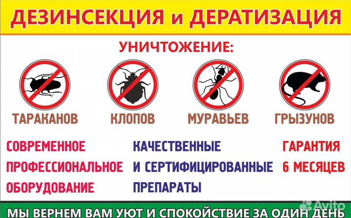 Потравить клопов, тараканов, мышей в Усть-Илимске