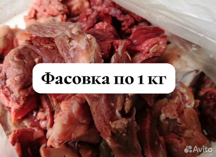 Готовый рацион для собак. Мясо для собак. Говядина