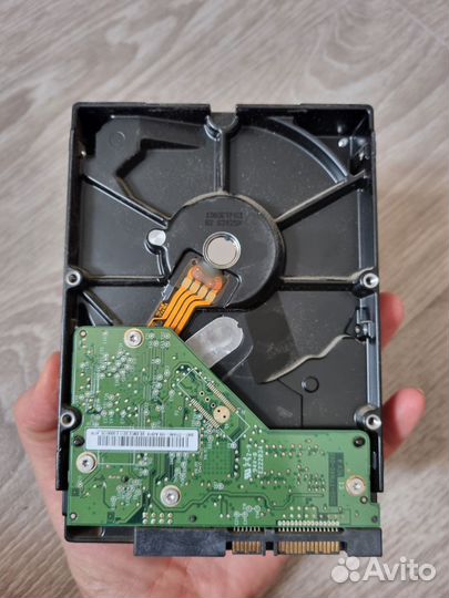 Жесткий диск WD 250Gb