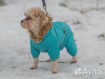 Девочка в добрые руки