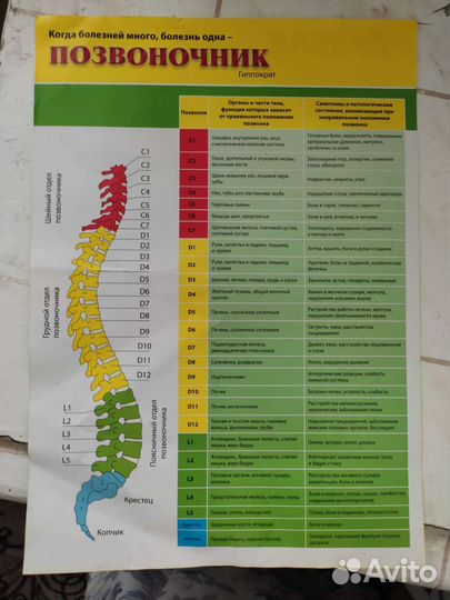 Ортопедический стульчик Арго