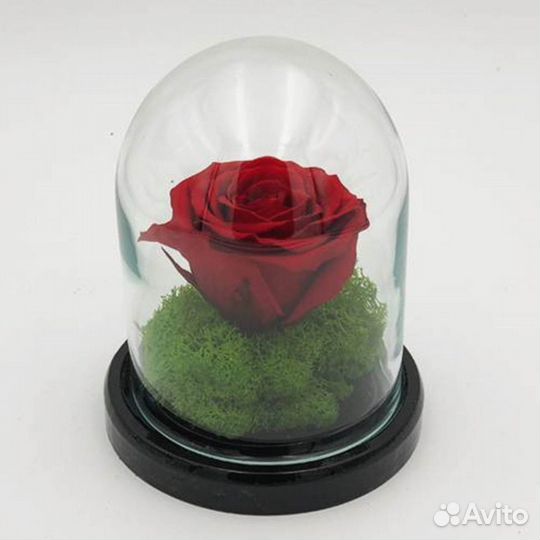 Роза в колбе. От производителя