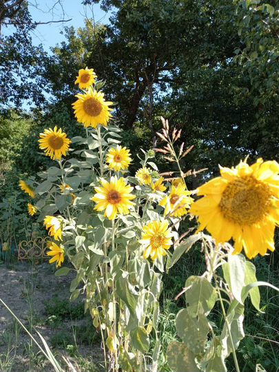 Дом 130 м² на участке 15 сот.