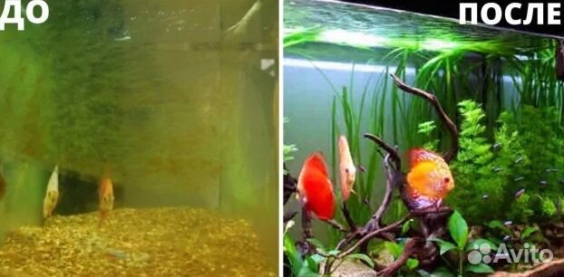 Изготовление, обслуживание и ремонт аквариумов