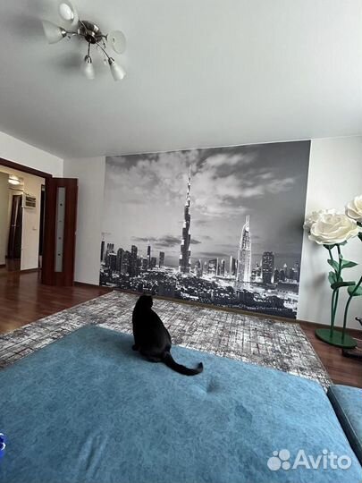 Поклейка обоев / Шпаклевка / Покраска стен