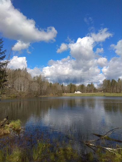 Участок 1,54 га (СНТ, ДНП)