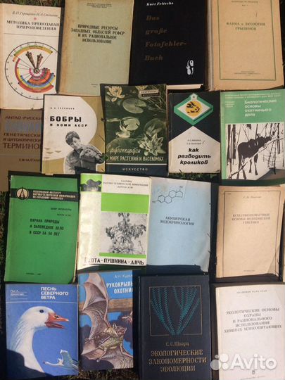 Книги, много