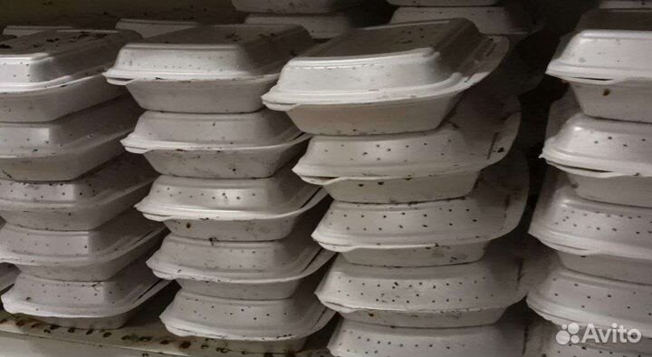 Икра улитки