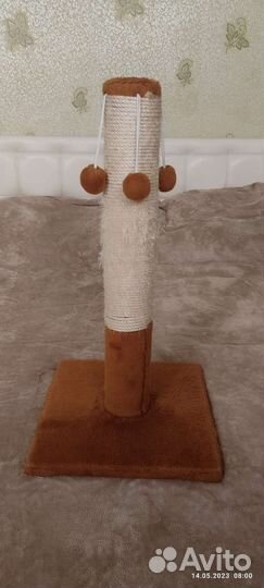 Когтеточка