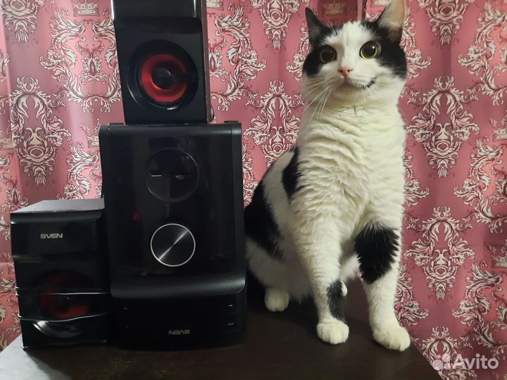 Колонки Sven ms 302