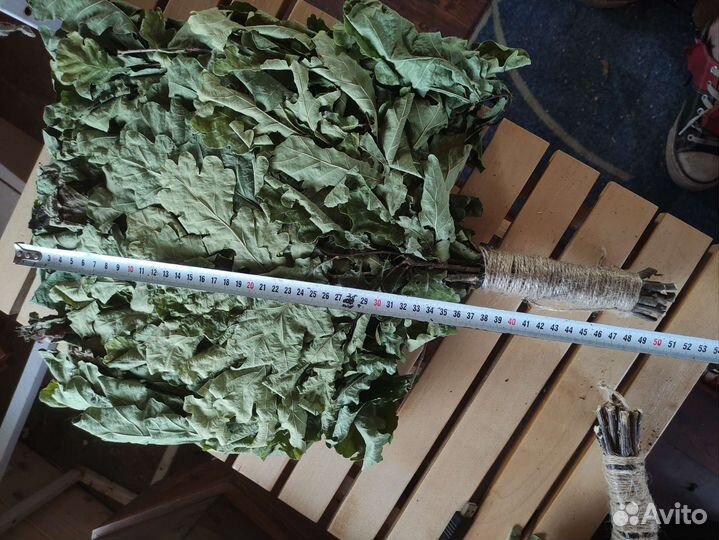 Дубовые веники для бани свежий сбор