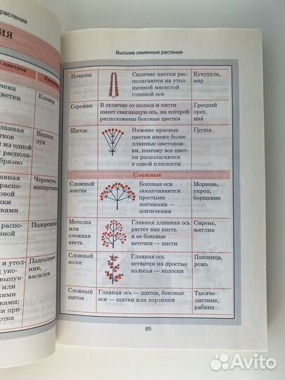 Биология учебник