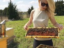 Пчелосемьи пчелы пакеты подмор и др