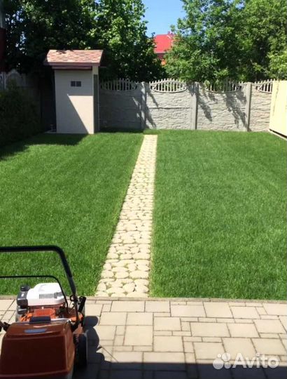 Рулонный газон