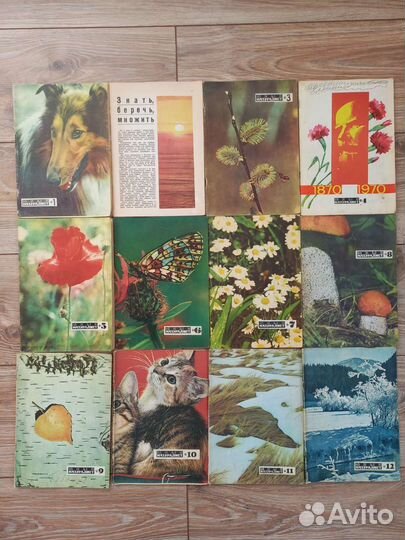 Журнал юный натуралист