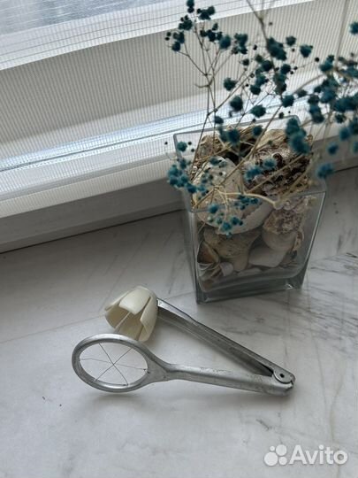 Яйцерезка СССР