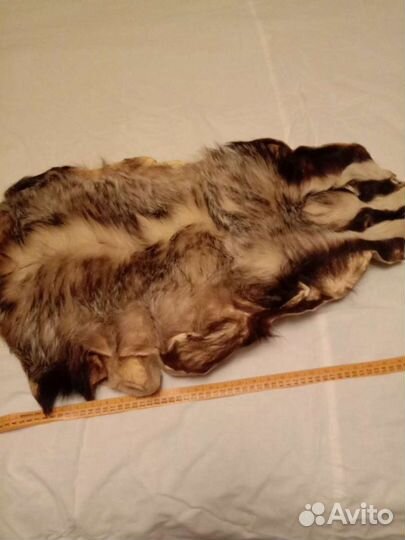 Меховые воротник и шкурки