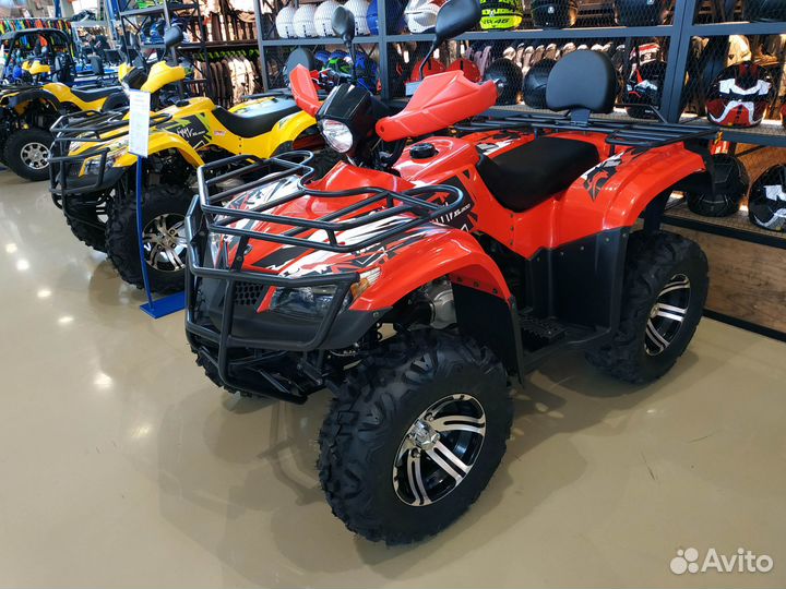 Квадроцикл VMV moto 200XL