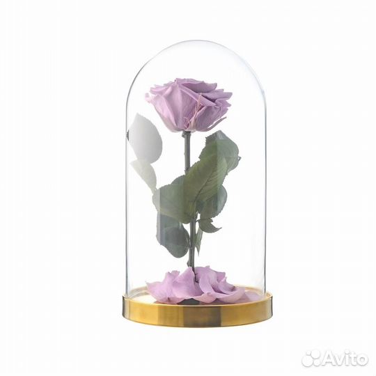 Розы в колбе на выбор
