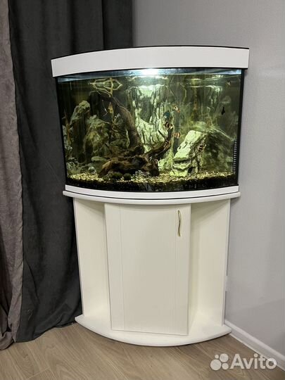 Аквариум угловой с тумбой