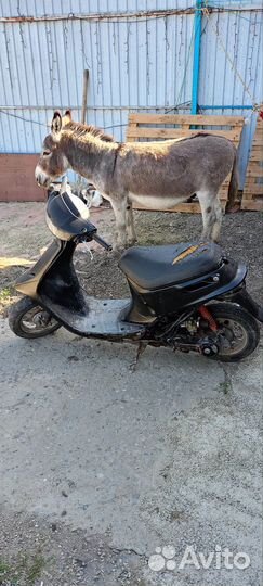 Honda Dio AF27: