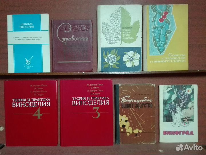 Виноградарство и виноделие