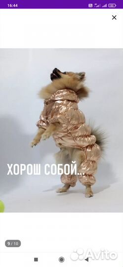 Зимний комбенизон для собак
