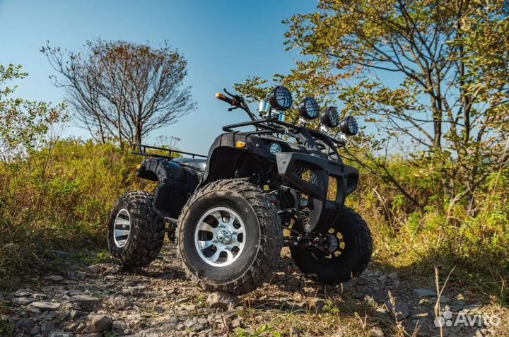 Квадроцикл Tiger Sport 250 (черный)