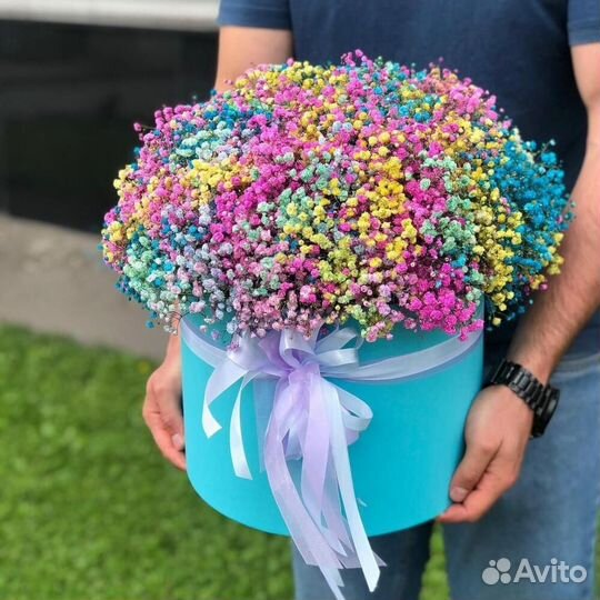 Гипсофила Букет Цветы