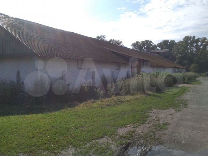 Здание склад, 830.5 м²