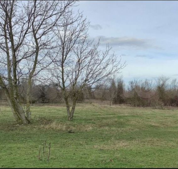 Участок 1,6 га (СНТ, ДНП)