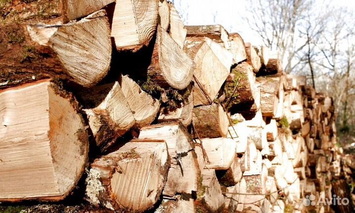 Дрова ольха осина береза