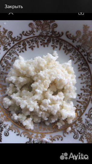 Молочный грибок