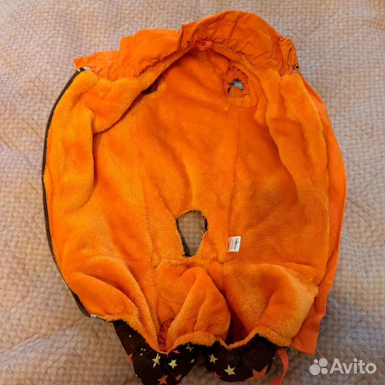 Комбинезон для таксы мальчика