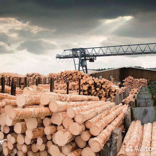 Продам фирму ооо 