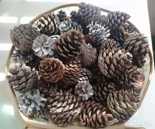 Шишки для декора, набор