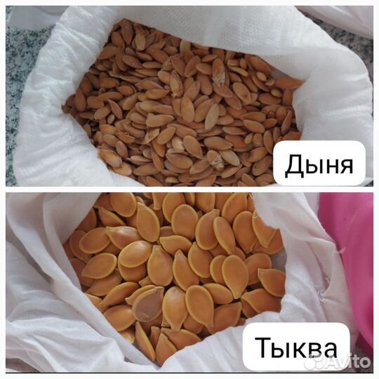 Семена овощей