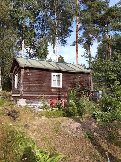 Участок 15,4 сот. (СНТ, ДНП)