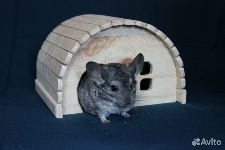Домик для шиншилл, гнездо для волнистых попугаев