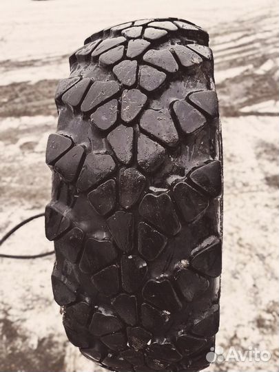 Tyrex Crg О-184 425/85r21 20pr