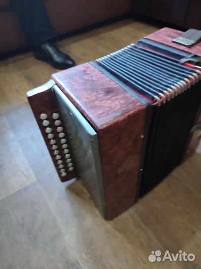 Гармонь Кубань