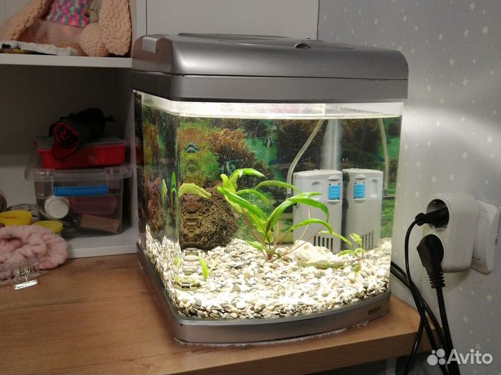 Аквариум с рыбками